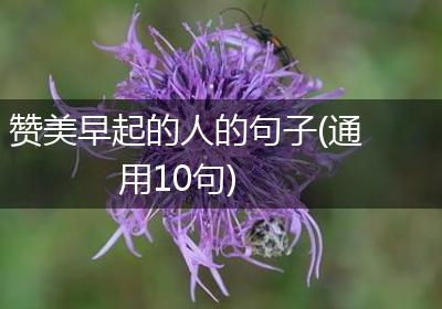 赞美早起的人的句子(通用10句)