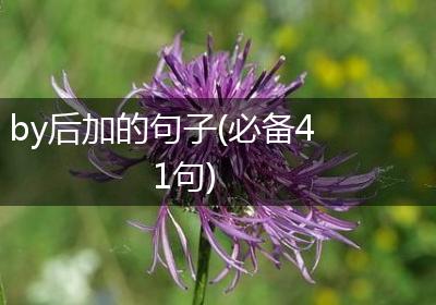 by后加的句子(必备41句)