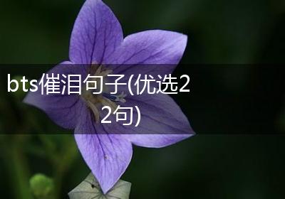 bts催泪句子(优选22句)