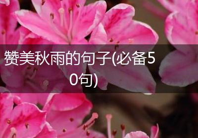 赞美秋雨的句子(必备50句)