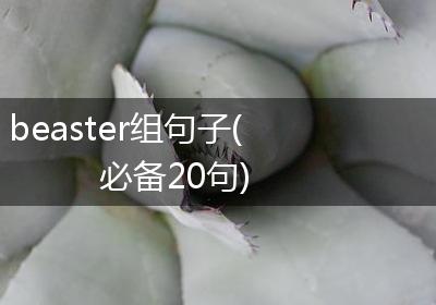 beaster组句子(必备20句)