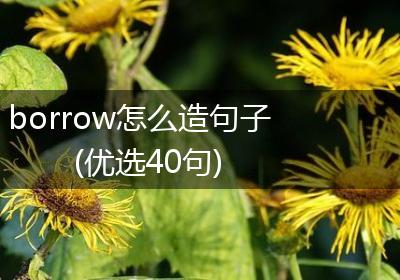 borrow怎么造句子(优选40句)