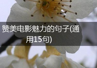 赞美电影魅力的句子(通用15句)