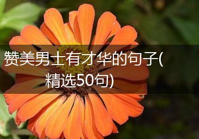 赞美男士有才华的句子(精选50句)