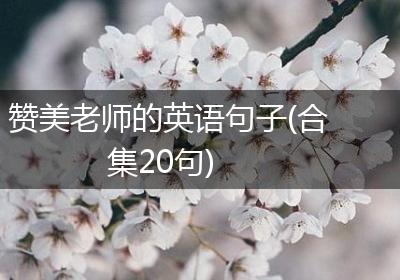 赞美老师的英语句子(合集20句)