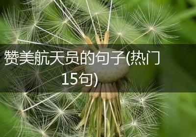 赞美航天员的句子(热门15句)