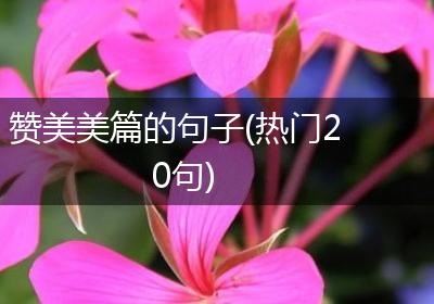 赞美美篇的句子(热门20句)