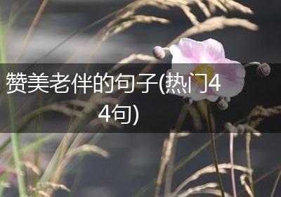 赞美老伴的句子(热门44句)