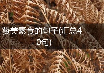 赞美素食的句子(汇总40句)