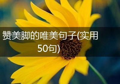 赞美脚的唯美句子(实用50句)