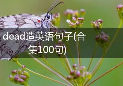 dead造英语句子(合集100句)