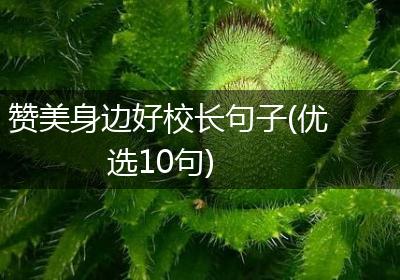 赞美身边好校长句子(优选10句)