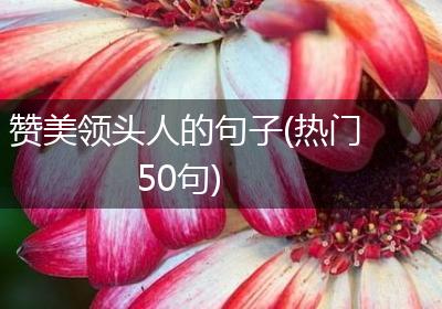 赞美领头人的句子(热门50句)