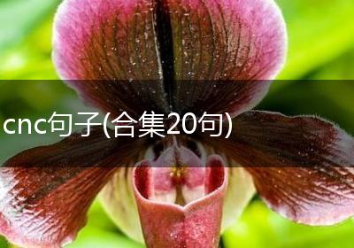 cnc句子(合集20句)