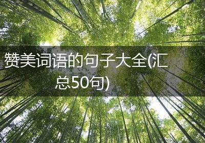 赞美词语的句子大全(汇总50句)