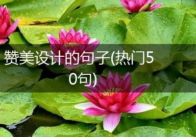 赞美设计的句子(热门50句)