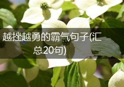 越挫越勇的霸气句子(汇总20句)