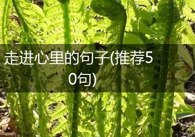 走进心里的句子(推荐50句)