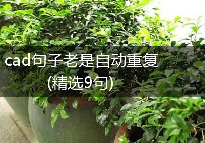 cad句子老是自动重复(精选9句)