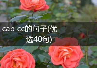 cab cc的句子(优选40句)