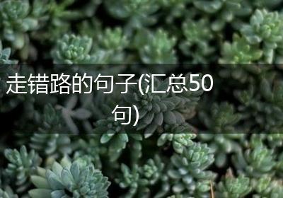 走错路的句子(汇总50句)