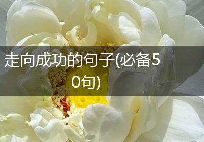 走向成功的句子(必备50句)