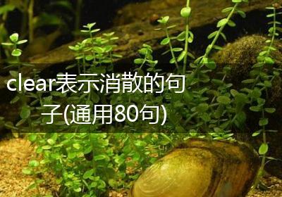 clear表示消散的句子(通用80句)