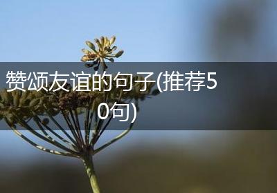 赞颂友谊的句子(推荐50句)