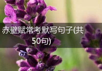 赤壁赋常考默写句子(共50句)