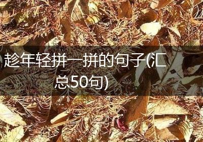 趁年轻拼一拼的句子(汇总50句)