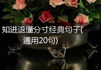 知进退懂分寸经典句子(通用20句)