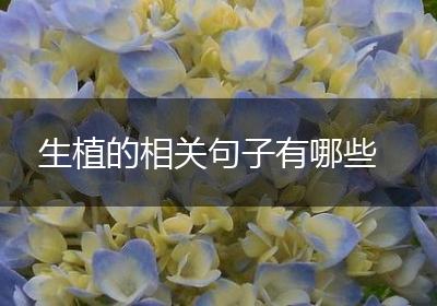 生植的相关句子有哪些