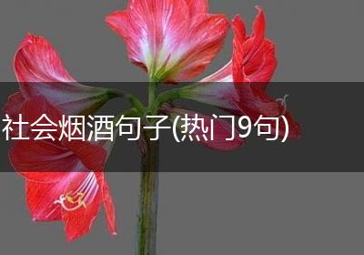 社会烟酒句子(热门9句)