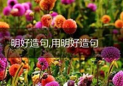 明好造句,用明好造句