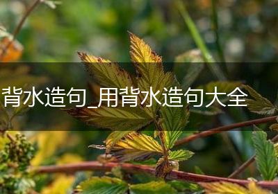 背水造句_用背水造句大全