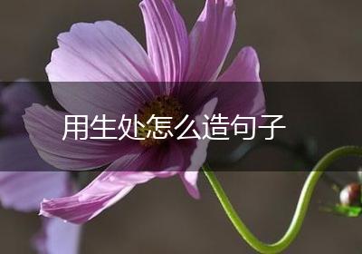 用生处怎么造句子