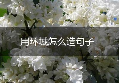 用环城怎么造句子