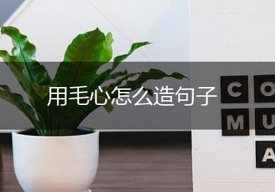 用毛心怎么造句子