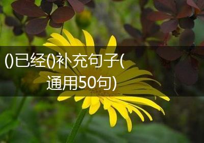 ()已经()补充句子(通用50句)