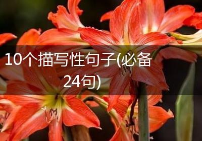 10个描写性句子(必备24句)