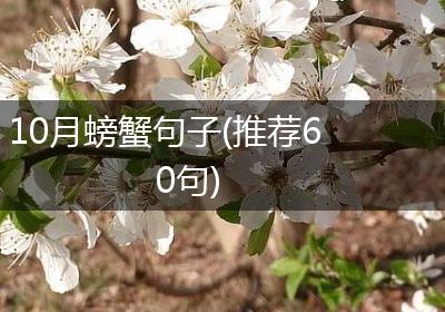10月螃蟹句子(推荐60句)