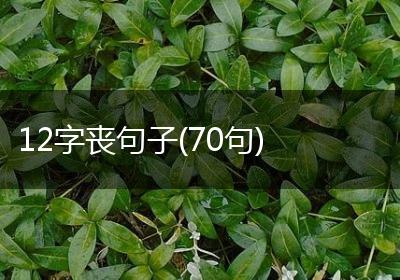 12字丧句子(70句)