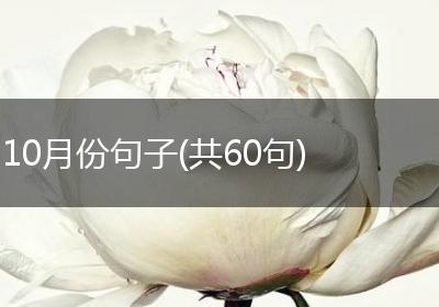 10月份句子(共60句)