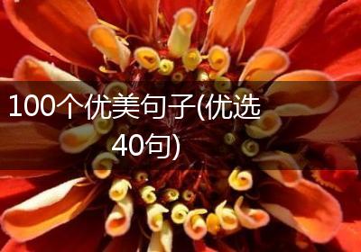 100个优美句子(优选40句)