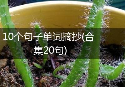 10个句子单词摘抄(合集20句)