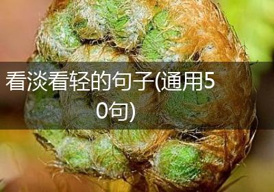 看淡看轻的句子(通用50句)