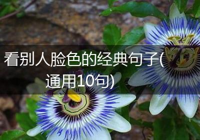 看别人脸色的经典句子(通用10句)