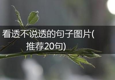 看透不说透的句子图片(推荐20句)