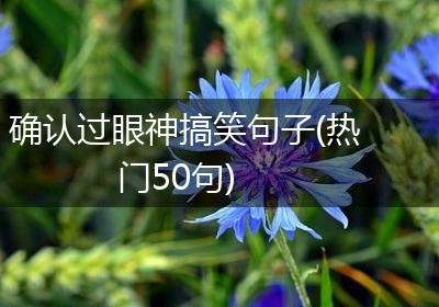 确认过眼神搞笑句子(热门50句)
