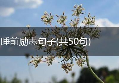 睡前励志句子(共50句)